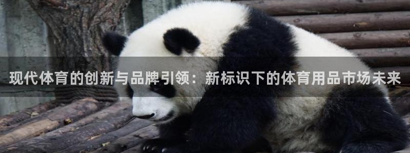 3377体育官网下载平台:现代体育的创新与品牌引领:新标识下