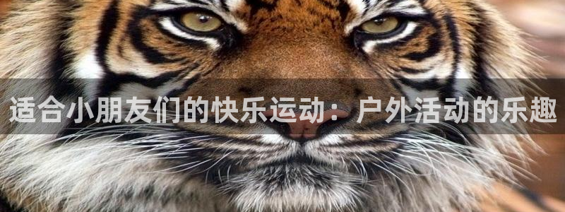 3377体育官方正版app娱乐40996:适合小朋友们的快乐