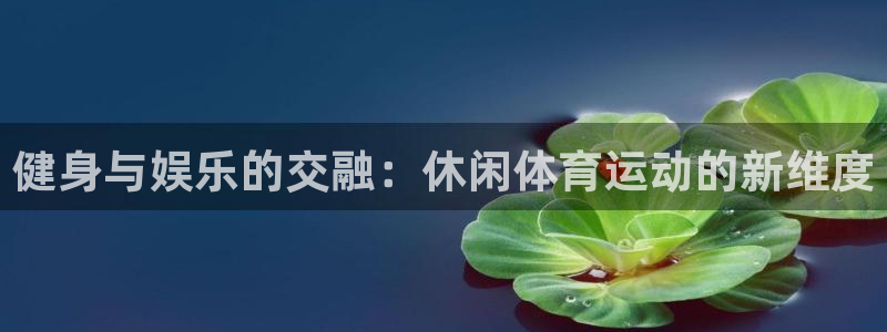 3377体育官方正版app新能源:健身与娱乐的交融:休闲体育