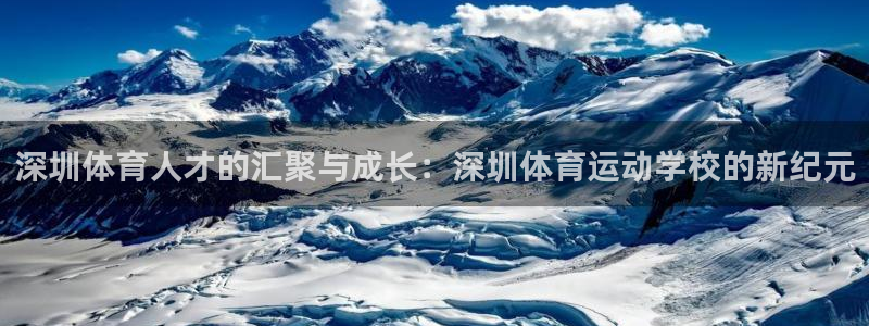 3377体育官网下载平台假的吗是真的吗:深圳体育人才的汇聚与